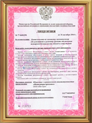 Лицензия МЧС России № 77-Б/01291